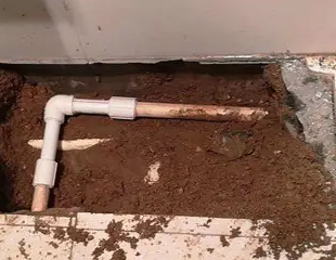 分宜测漏水哪家好