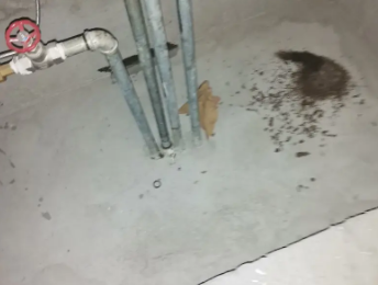 分宜卫生间测漏水价格明细