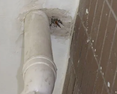 分宜漏水检测哪家好